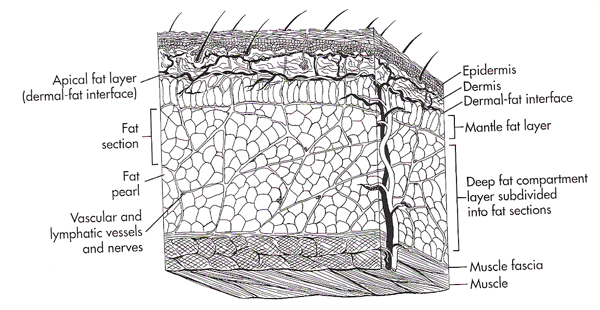 lect0001_600.jpg