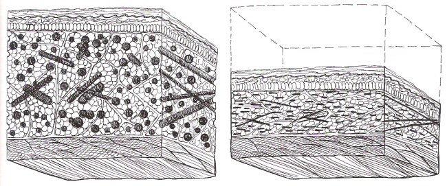 lect0006.jpg