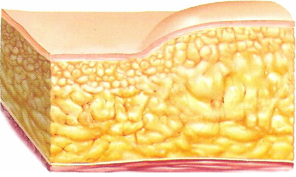 snap674.jpg snap674.jpg