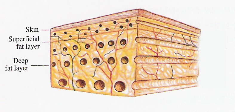 toledo0005.jpg toledo0005.jpg