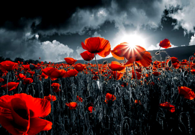 김영란시인 돌담에 속삭이는 햇발 .jpg