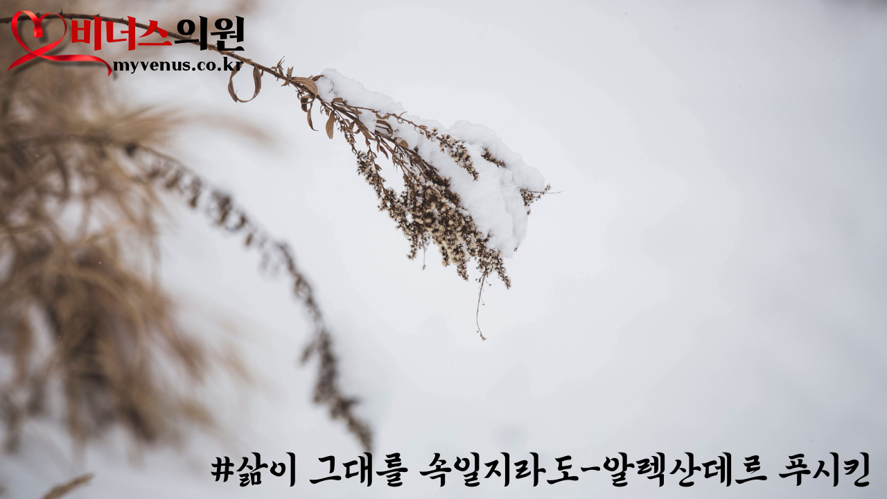 푸시킨-001.jpg
