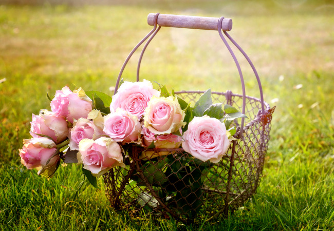 6월에 꿈꾸는 사랑 이채 사랑시 시추천 아름다운 시 여름 시 좋은 시 이채시인 6월시추천 .jpg