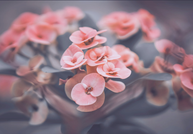 세계명시 사랑은 아픔을 위해 존재합니다 칼릴지브란 사랑의 시 아름다운 시 .jpg