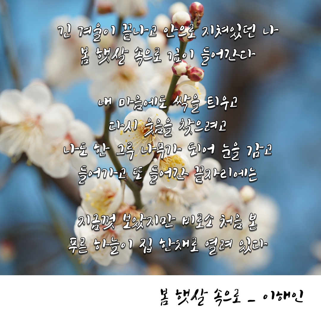 제목을-입력해주세요_-001 (6).png