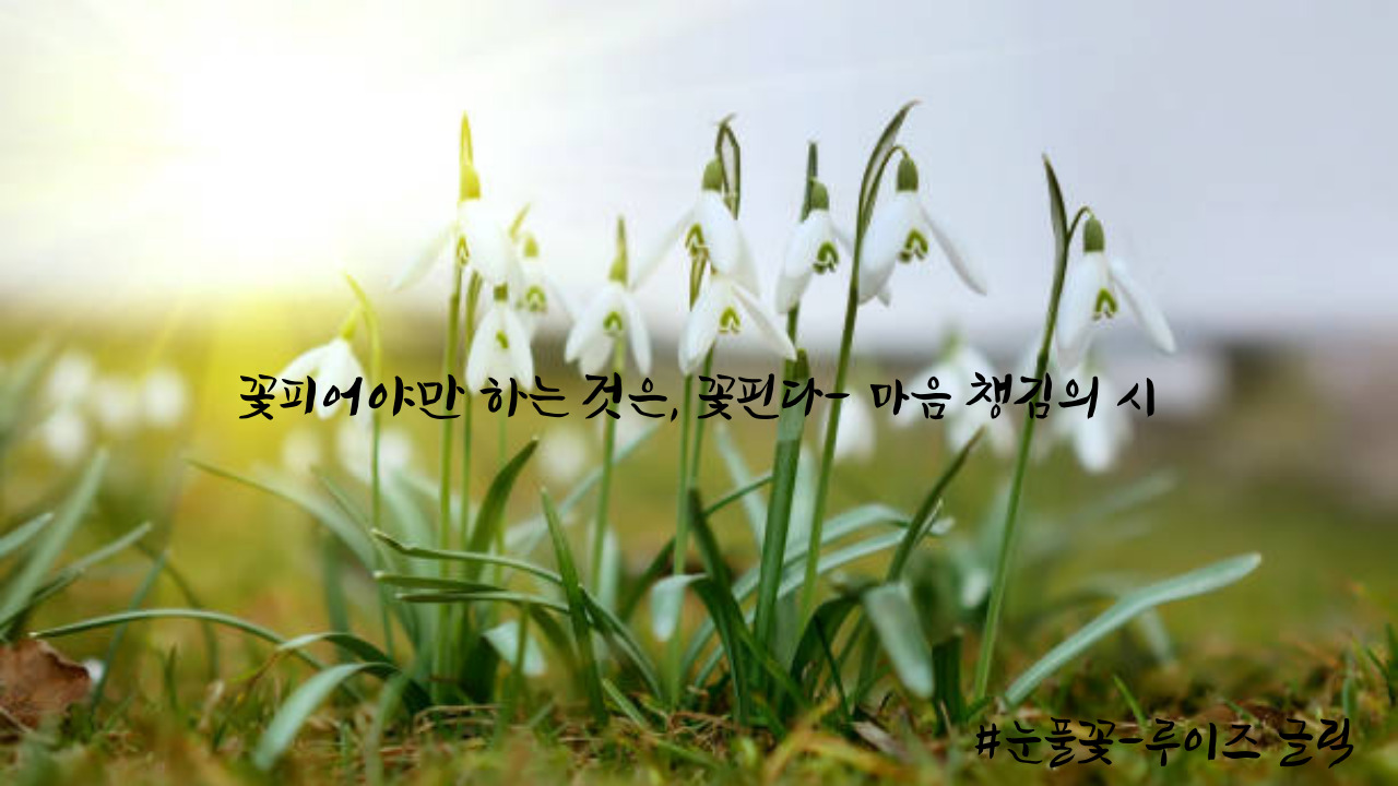 제목을-입력해주세요.-001 (2).jpg