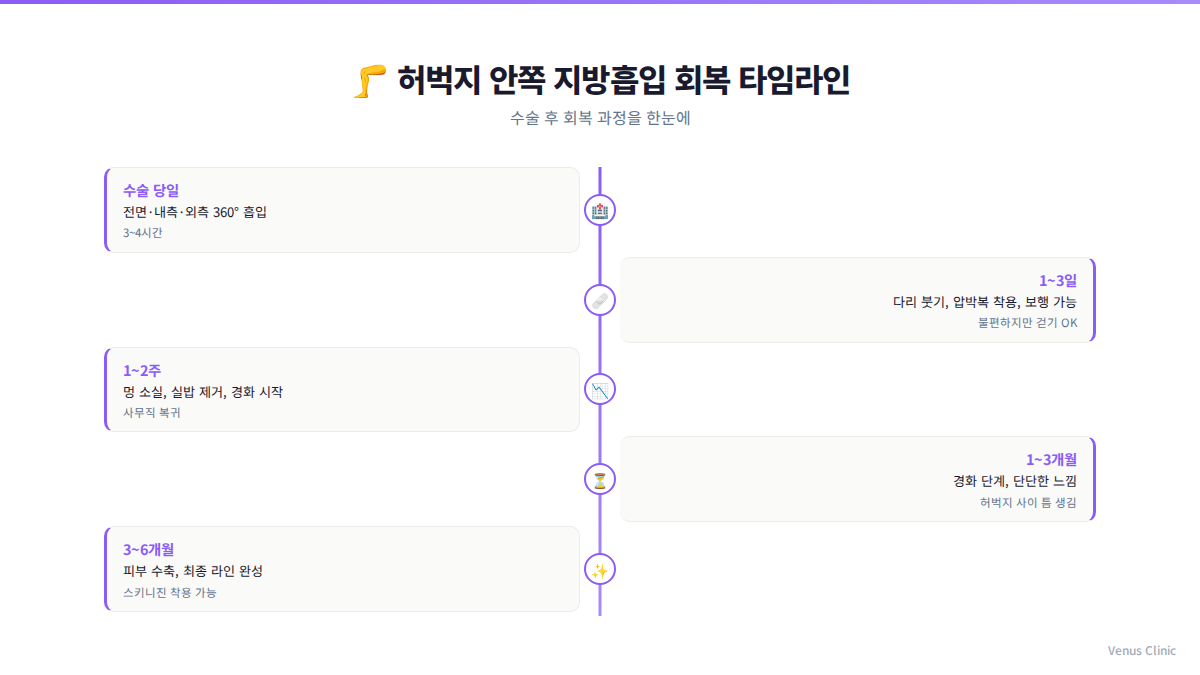 허벅지 지방흡입 후 회복 타임라인 인포그래픽 — 비너스의원
