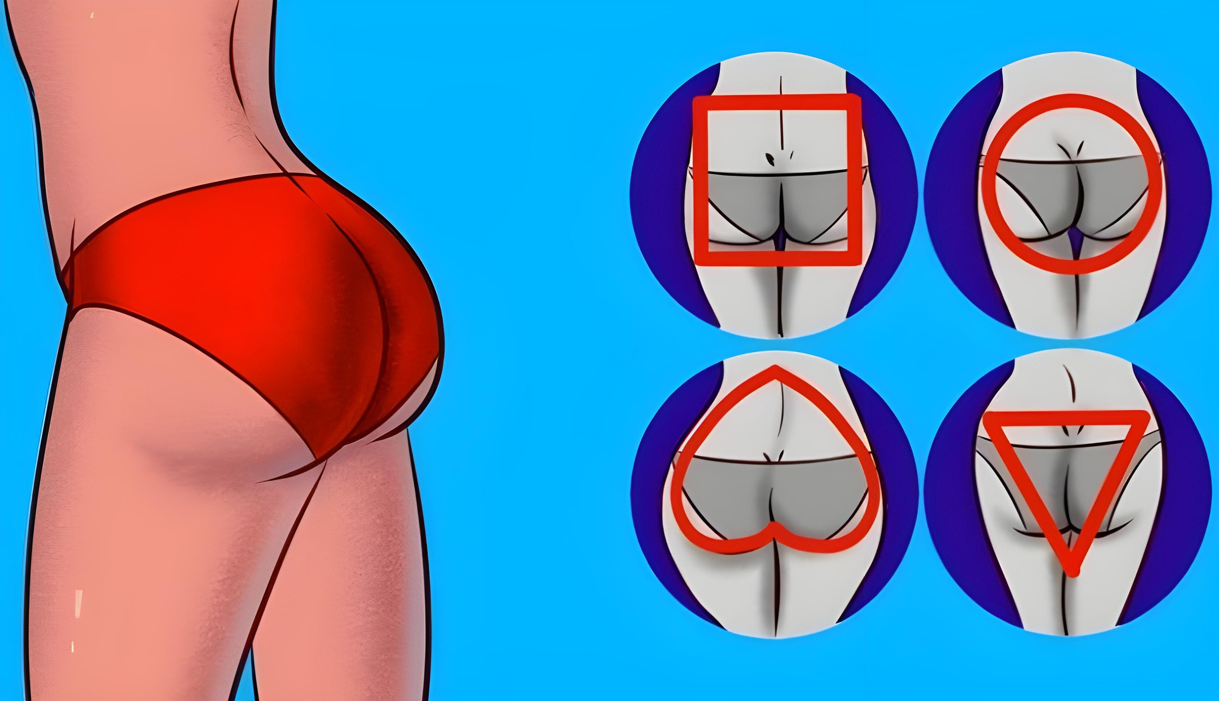 엉덩이 유형 분류 — 비너스의원