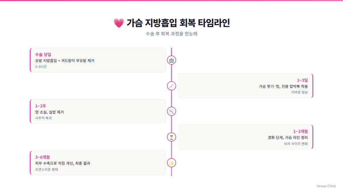 가슴 지방흡입 수술 후 회복 타임라인 인포그래픽 비너스의원
