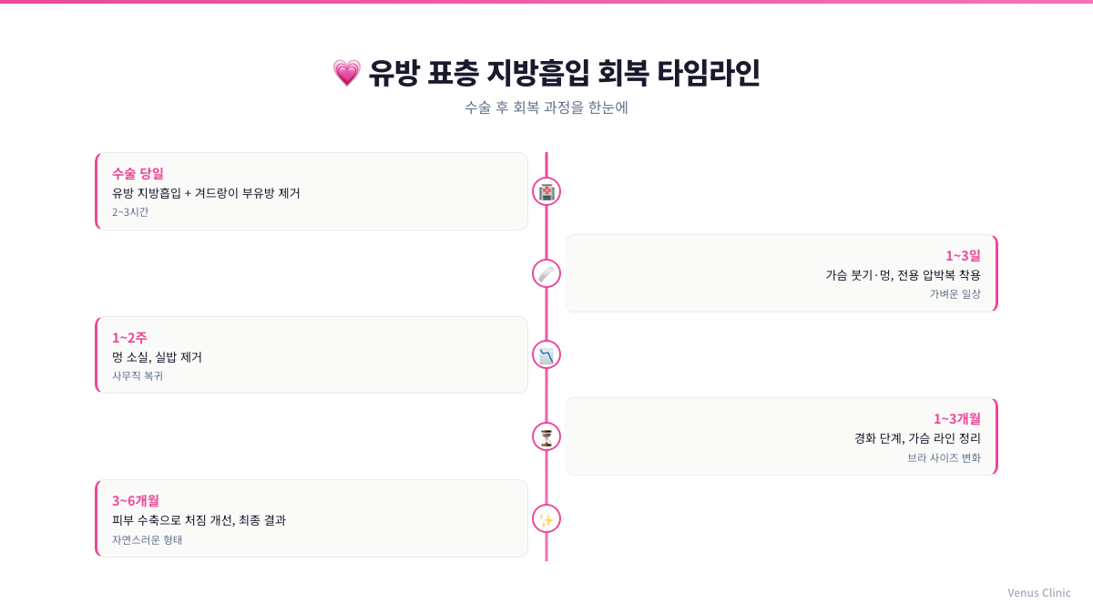 유방 표층 지방흡입 회복 타임라인 예시 비너스의원