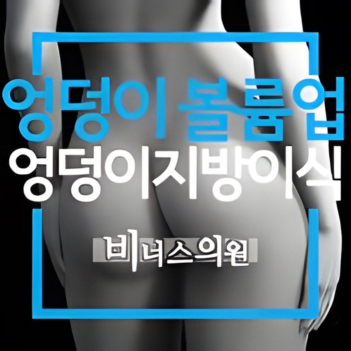 엉덩이 볼륨업 지방흡입 수술 설명 이미지 비너스의원