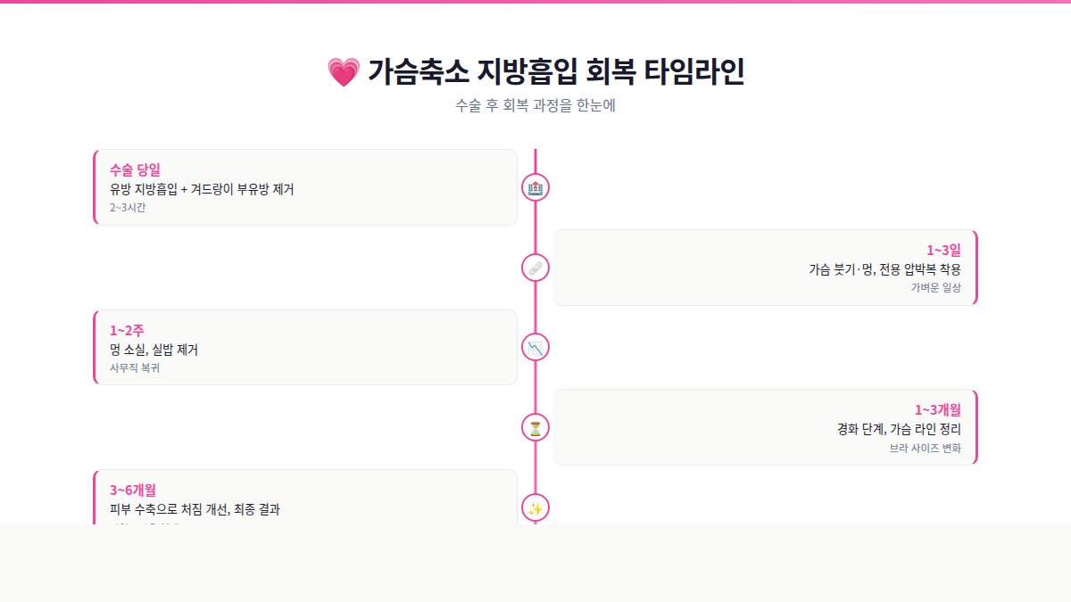 가슴축소 지방흡입 회복 타임라인 인포그래픽 수술당일부터 6개월까지
