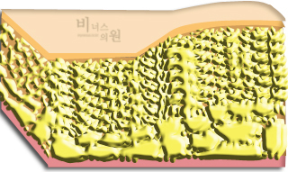 지방.jpg