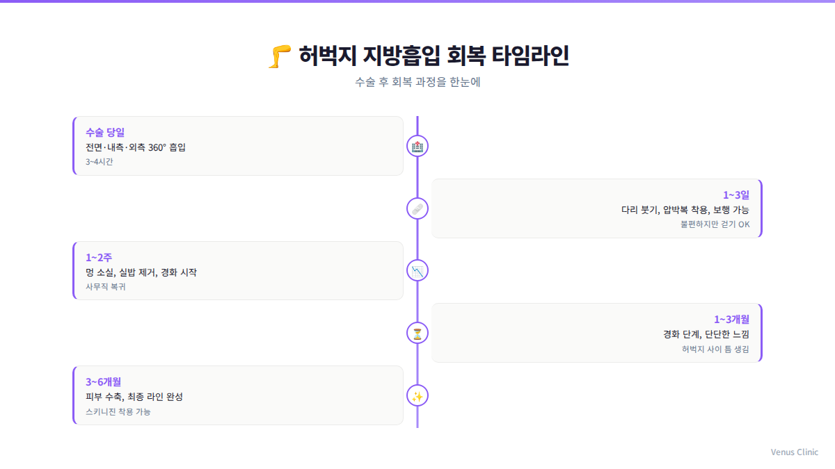 허벅지 지방흡입 회복 타임라인 인포그래픽