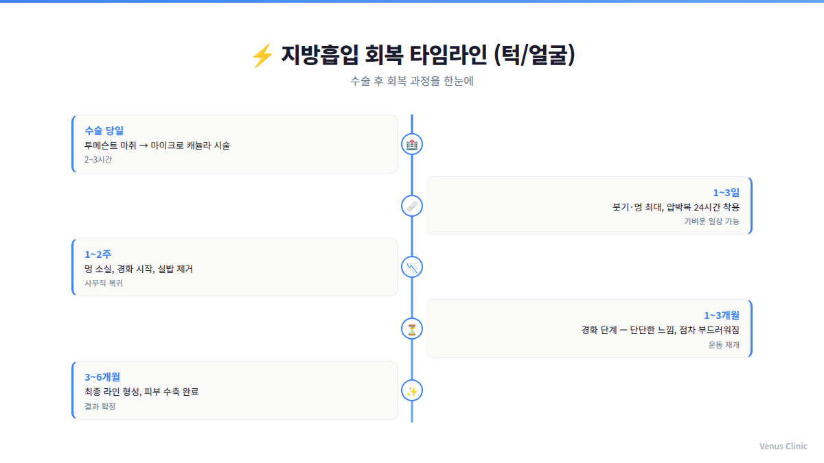 이중턱 지방흡입 회복 타임라인 경화과정 단계별 변화 인포그래픽 비너스의원