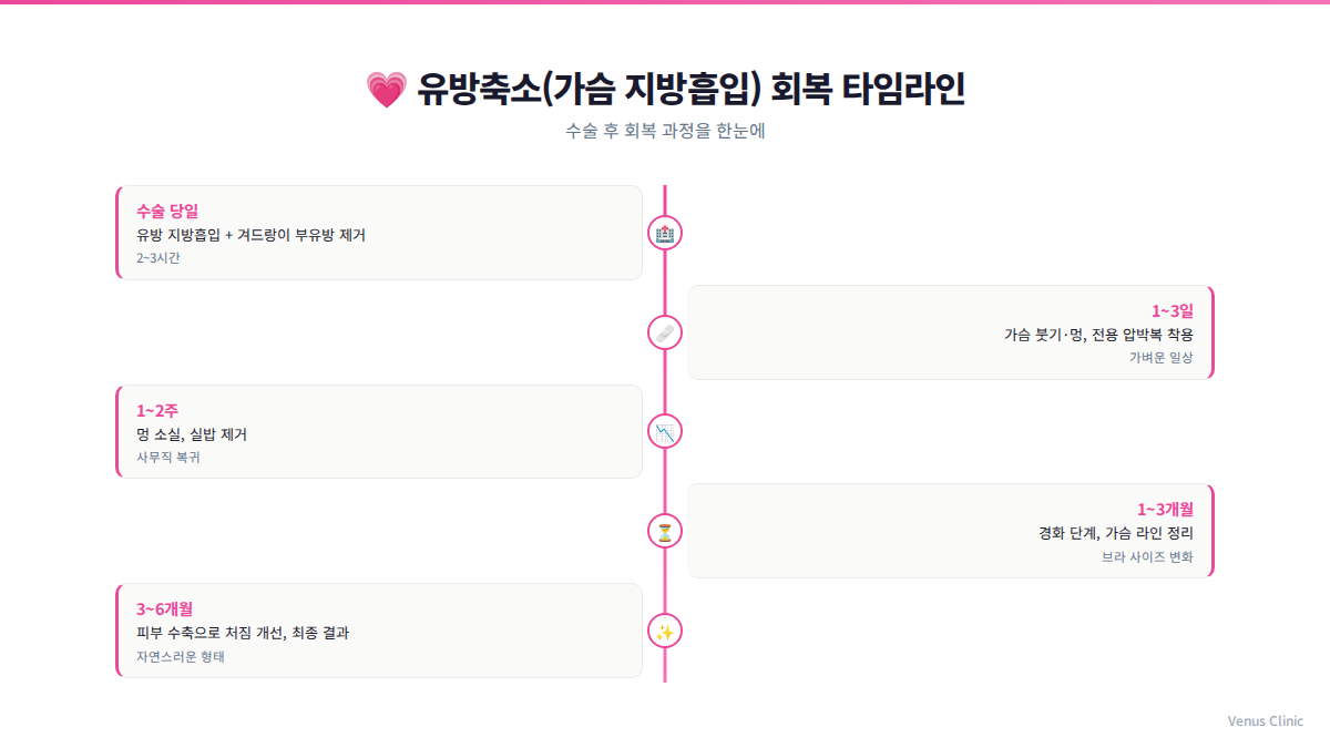 가슴축소 지방흡입 회복 타임라인 인포그래픽 비너스의원