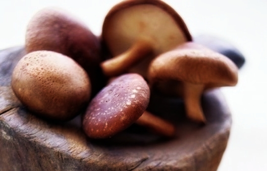 다이어트 식품 추천.jpg