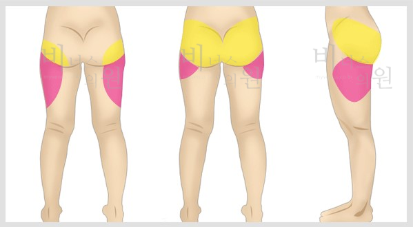 제목을-입력해주세요_-001 - 2022-02-08T180822.112.png