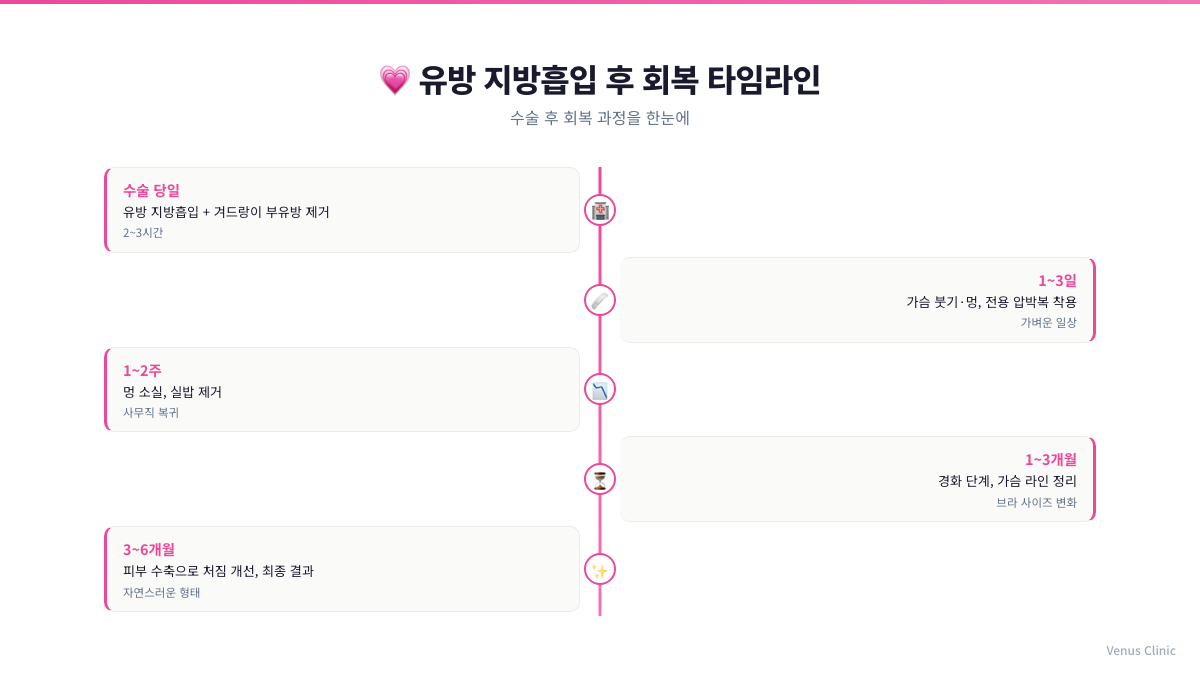 유방 지방흡입 후 회복 타임라인 인포그래픽